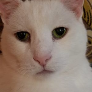 Meet your Posher, Debbie